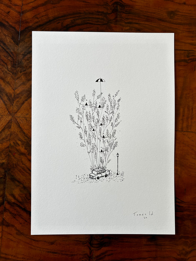 Auto y sus plantas